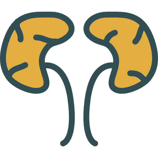 Osteo problème gynécologique, urinaire bourg en Bresse