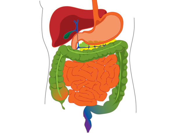 osteo problème de digestion bourg en Bresse