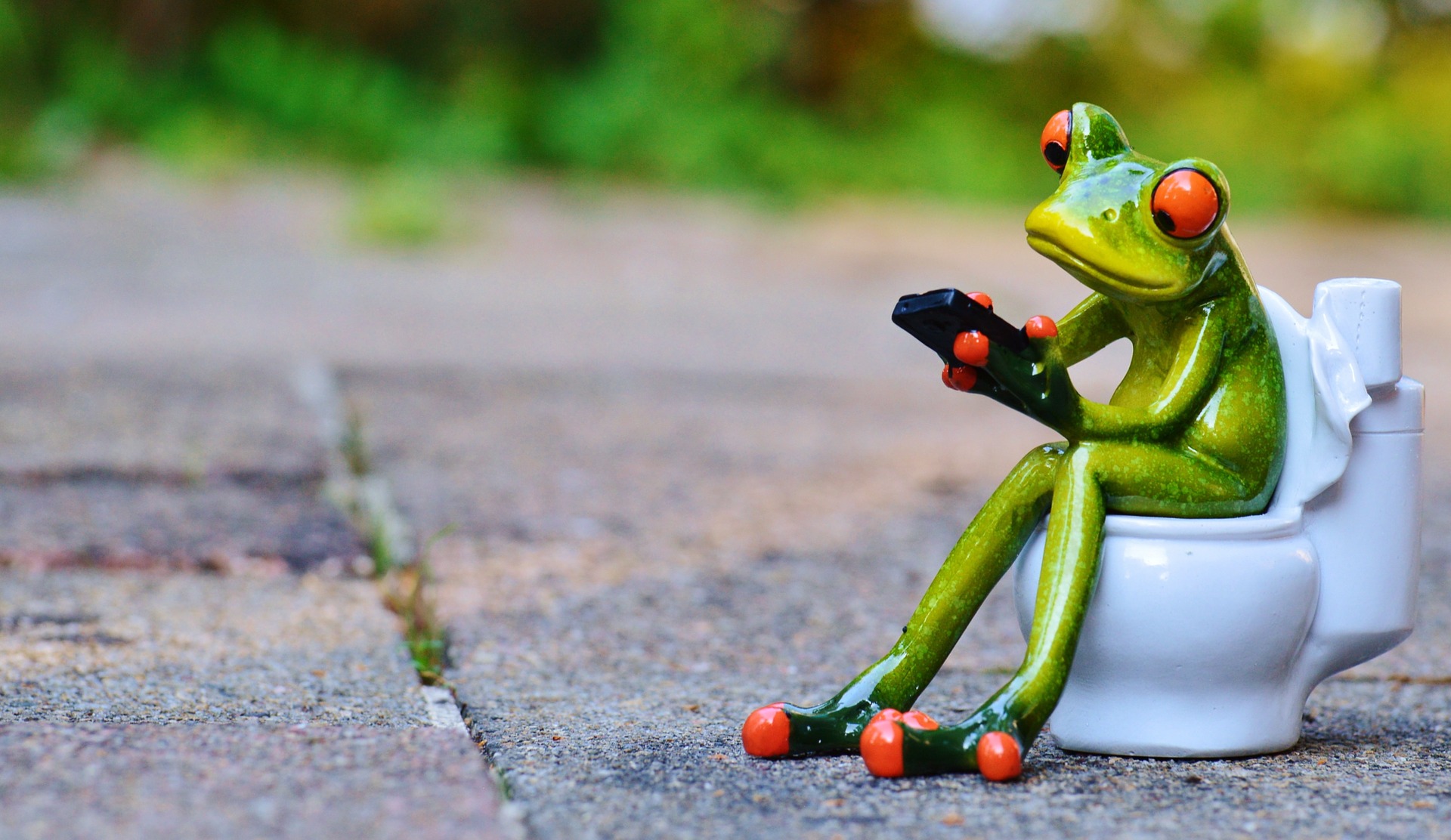 frog-914131_1920